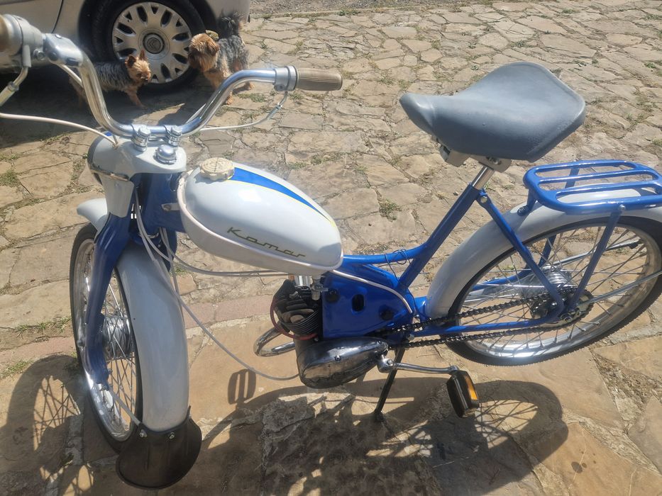 Komar sztywniak 2320