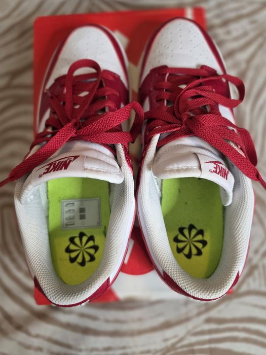 Nike Air Dunk Low Next Nature