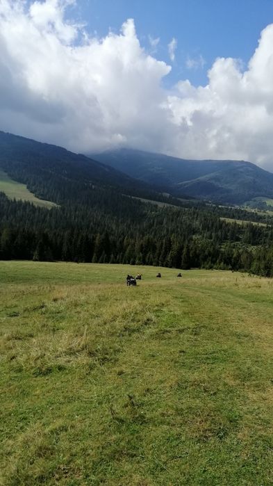 Прокат, подорожі на квадроциклах Brp Can-am, Polaris, Yamaha