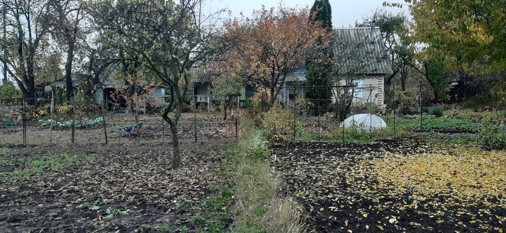 Дача, Хіммістечко