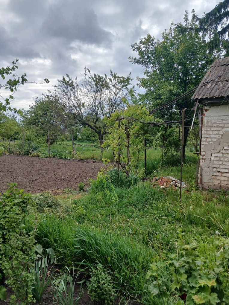 Продам дачу в селі Богданівка