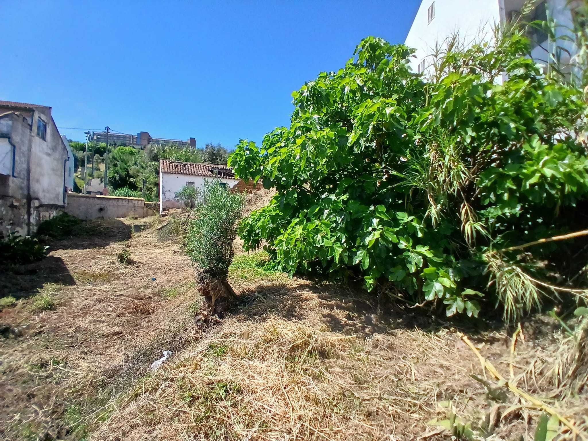 Oportunidade em Abrantes - 2 Casas para Recuperar com Terreno