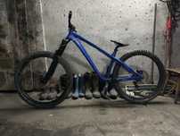 Dartmoor Hornet 2020