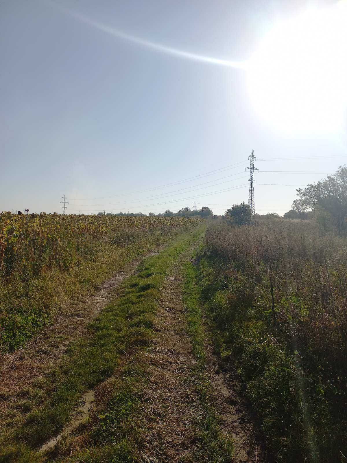 Продаж земельної ділянки в с. Наварія (під будівництво, 8 соток.)