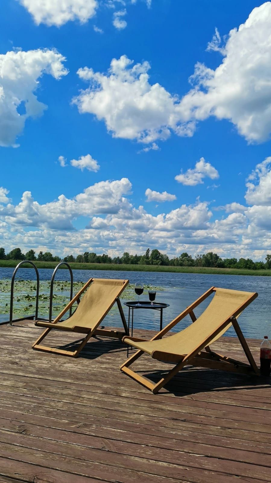 Аренда дома  в  сосновом лесу на берегу реки Днепр, посуточно