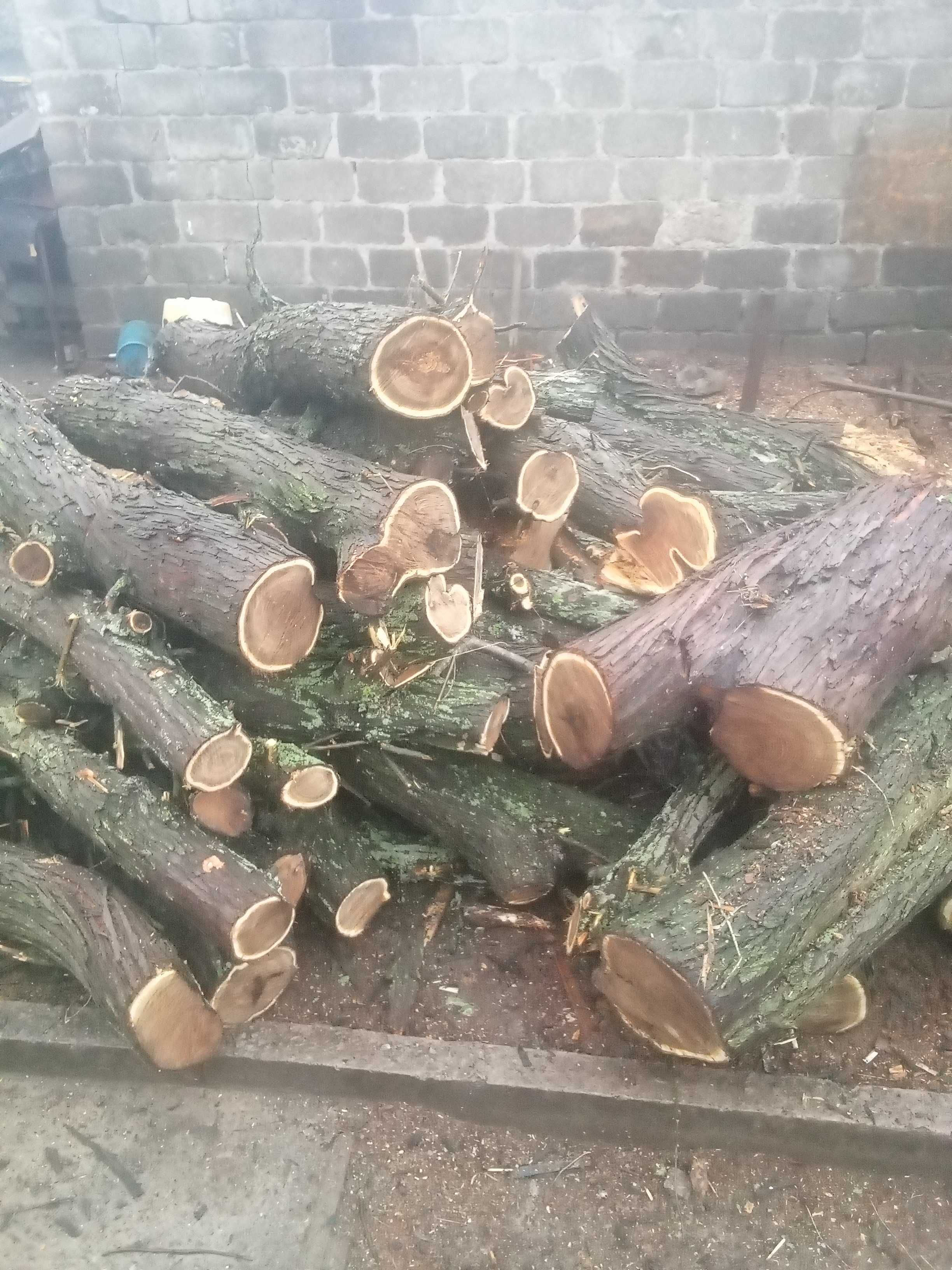 Дрова недорого дрова