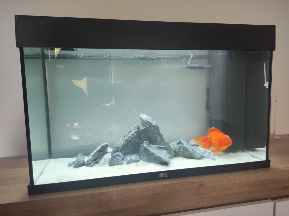 Zestaw akwariowy Rio 125l Juwel