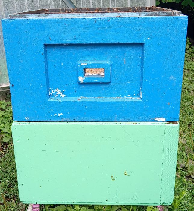 Korpus,  wielkopolski dziesięcio ramkowy.