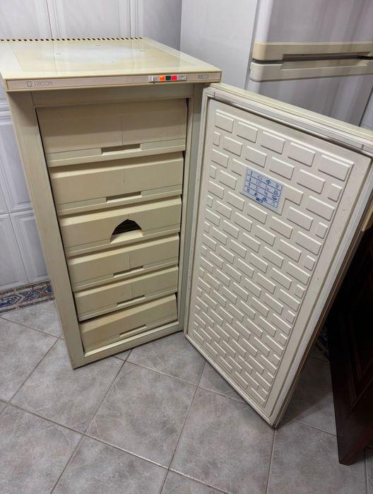 Arca frigorífica congeladora