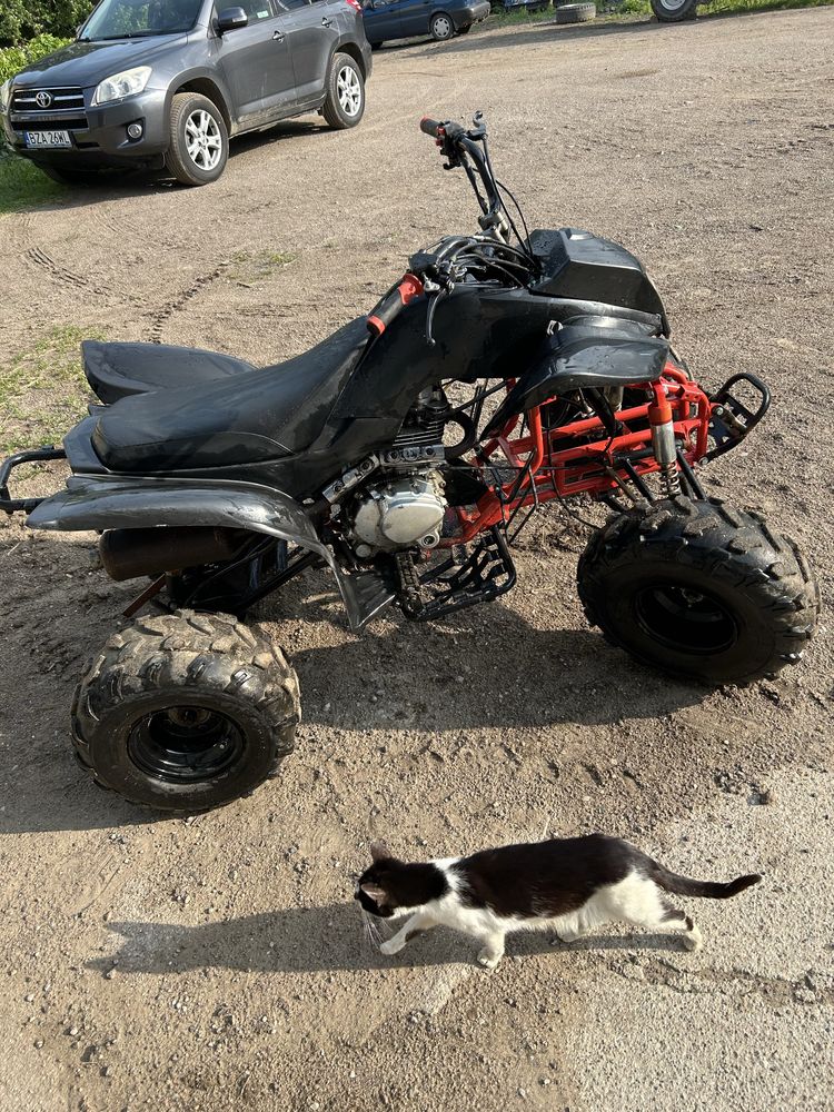 Quad bashan  250