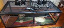 Terrarium dla zolwia z wyposazeniem