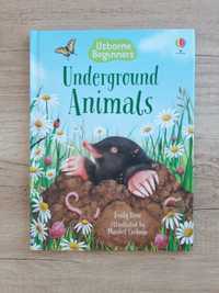 Underground animals beginners Usborne