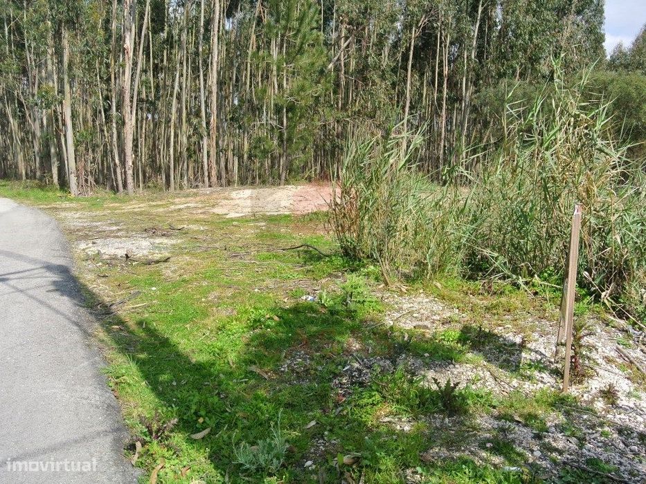 Terreno para construção no Nadadouro