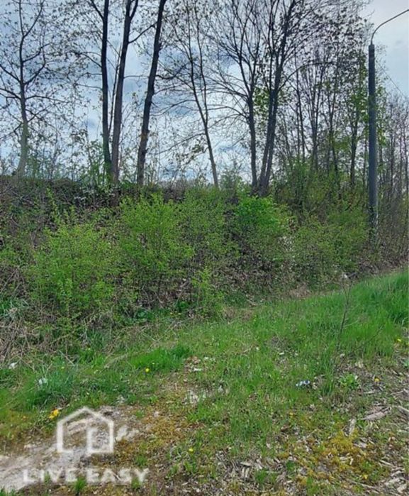 Продаж земельної ділянки в с. Велика Березовиця