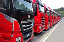Capacidade profissional para empresa de transportes