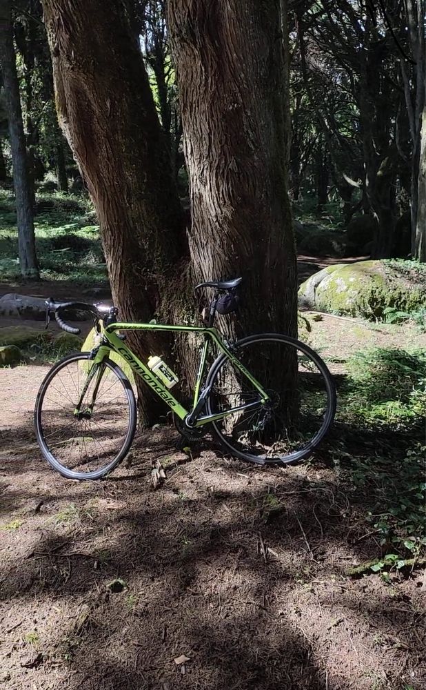 Cannondale Synapse Hi-mod Carbono - Ultegra