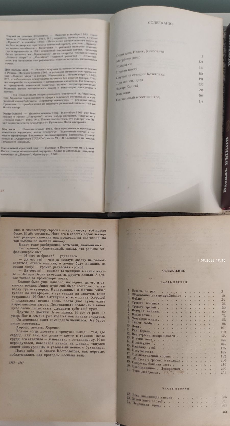 Л. Ленч, А. Солженицын, Василь Быков, О.Гончар, П.Загребельний