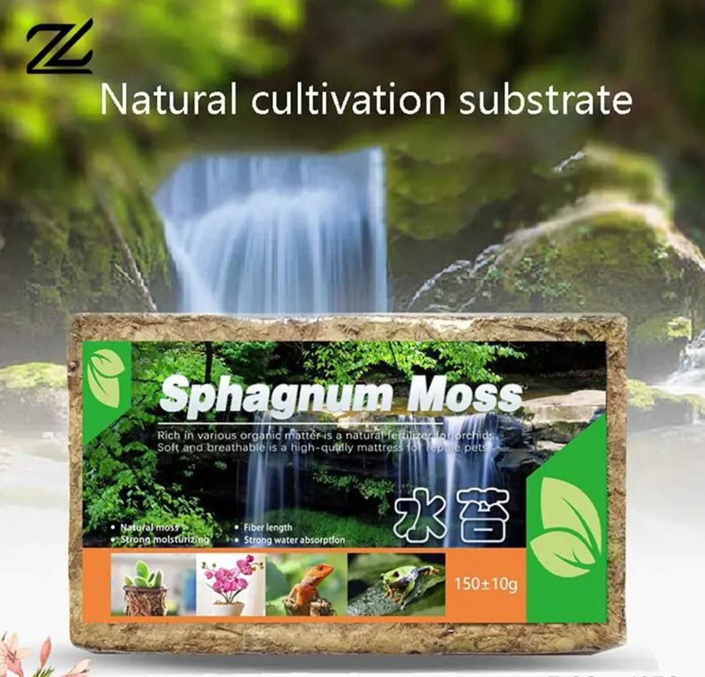 Ukorzeniacz Mech Torfowiec Sphagnum Moss 150g 12L Kwiaty Storczyk Gad