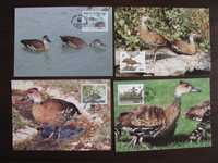 Bahamy -Maxim karty-Ptaki, kaczka, kaczki -WWF