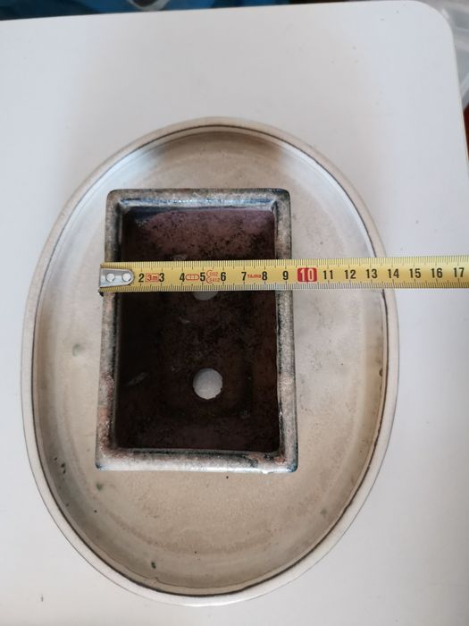 Vaso e prato para Bonsai