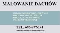 Malowanie dachów / Malowanie elewacji / Mycie dachów / Mycie elewacji