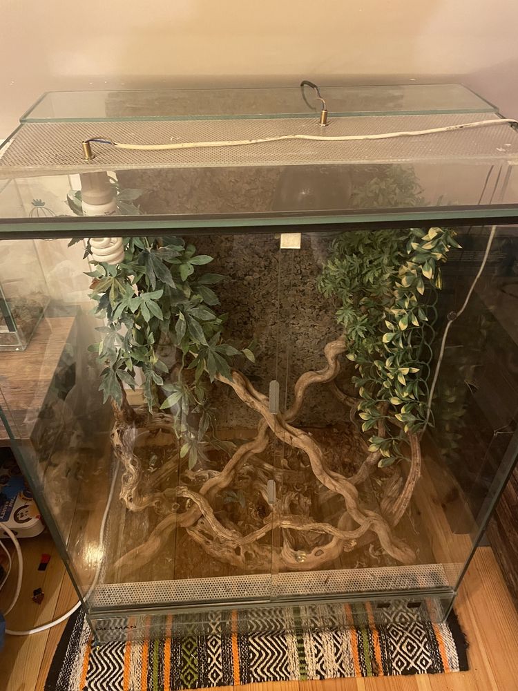 Terrarium 90x70x50