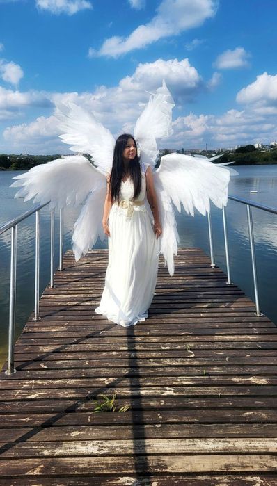 Крылья шестикрылого ангела