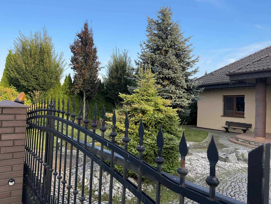 Dom na sprzedaż w Daszewicach/Kamionki