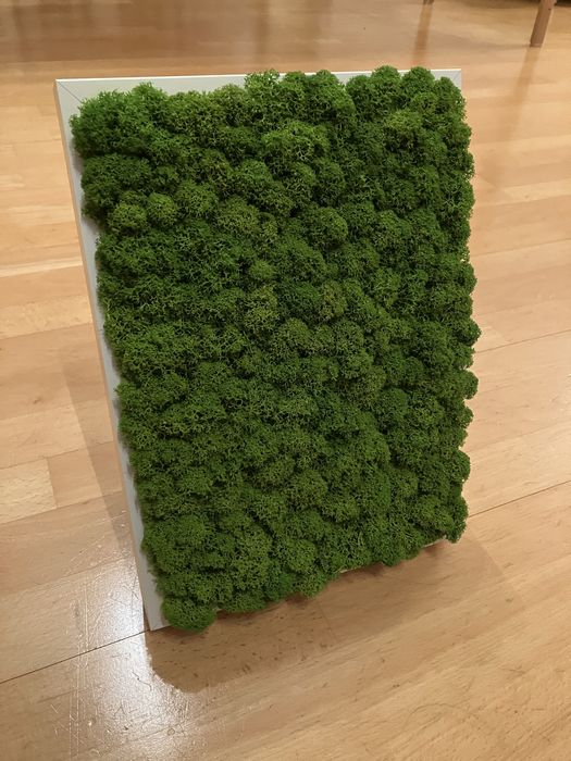 Obraz z mchu 32,5x23,5cm