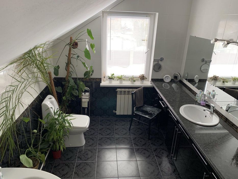 Продаж будинку Старі Петрівці