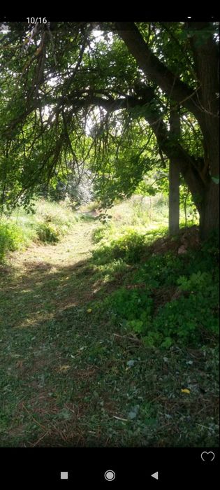 Продам будинок в Гадячі в селі Кнешивка Полтавська область