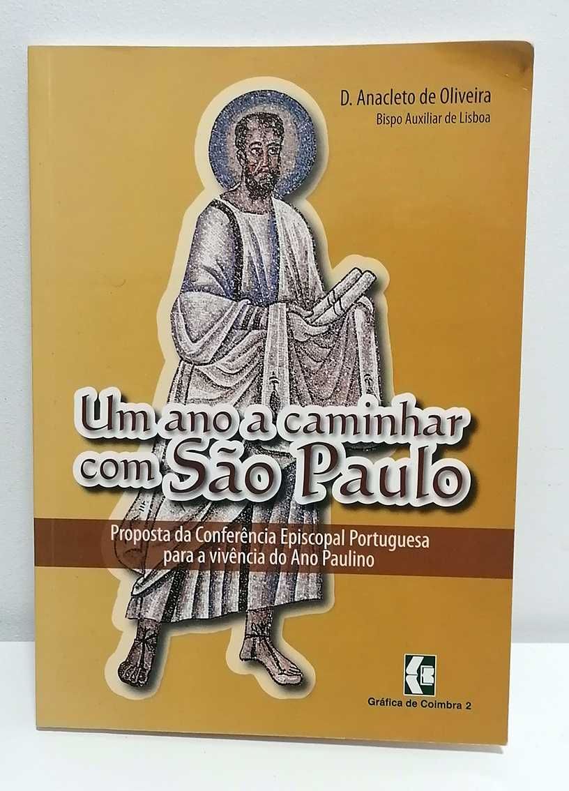 Um ano a caminhar com São Paulo