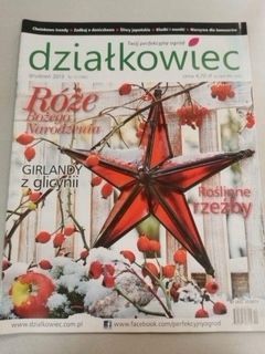 Działkowiec 12/2013