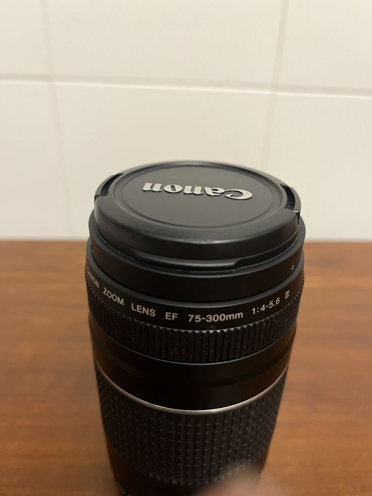 Canon EF 75-300mm 4-5.6 III