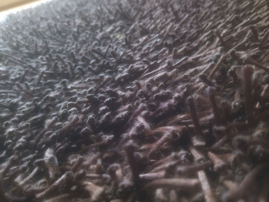 Tapetes castanhos