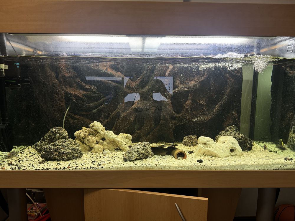 Aquario 600L prefeito para criação