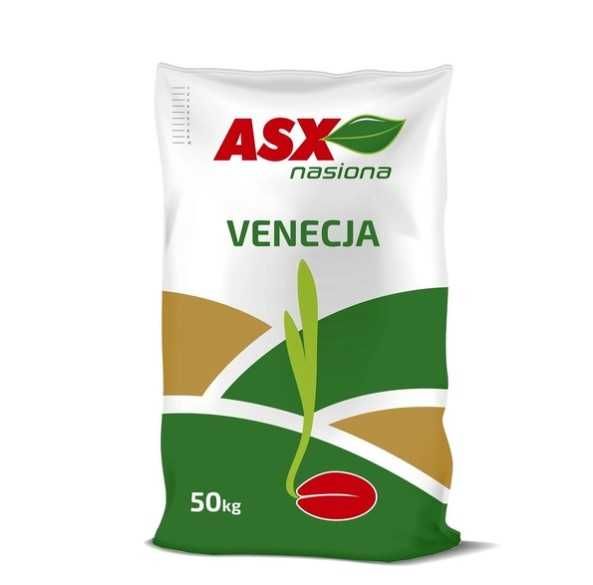 Pszenica ozima VENECJA C/1 worek 50KG centrala nasienna Waleńczów