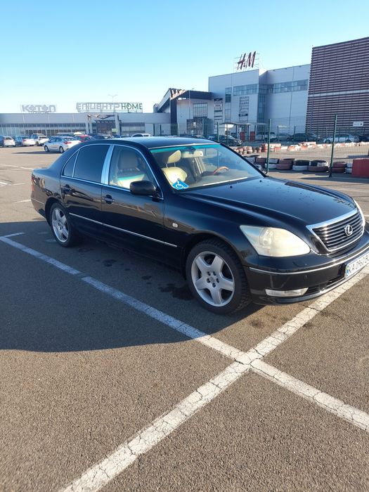 Продам "японського кабана"