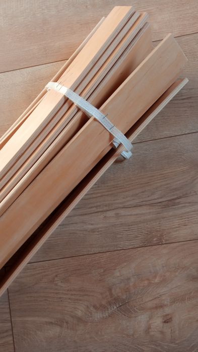 Ортопедичні ламелі