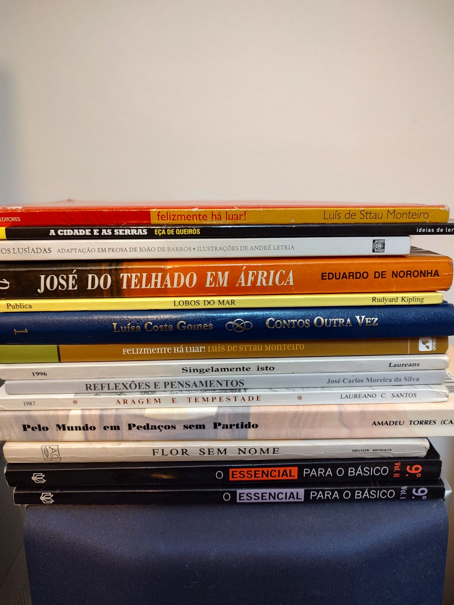 Lote de Livros - Danielle Steel, Lesley Pearse, Richard Zimler, etc