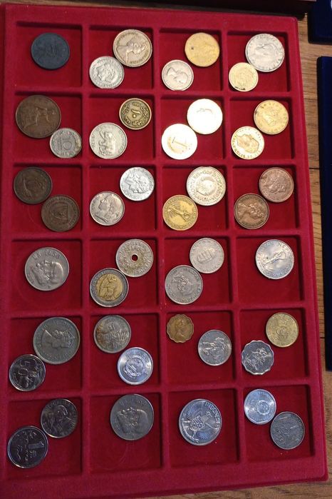 Monety i banknoty zestawy