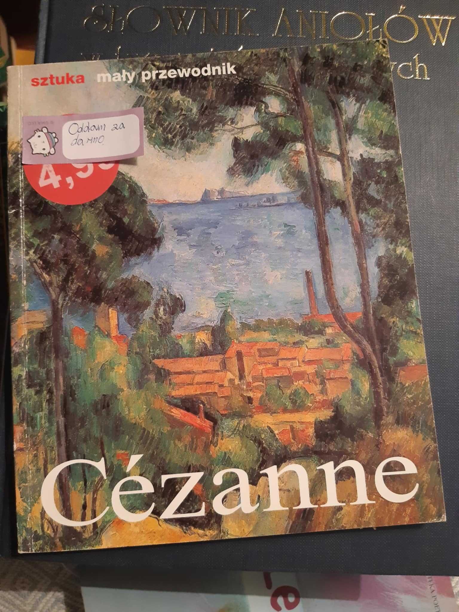 Książka Cezanne mały przewodnik