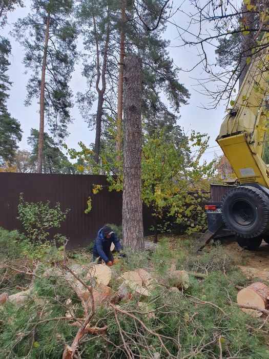 Виконання робіт, повне очищення території, демонтаж будівель, дахів.