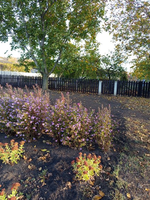 Земельна ділянка