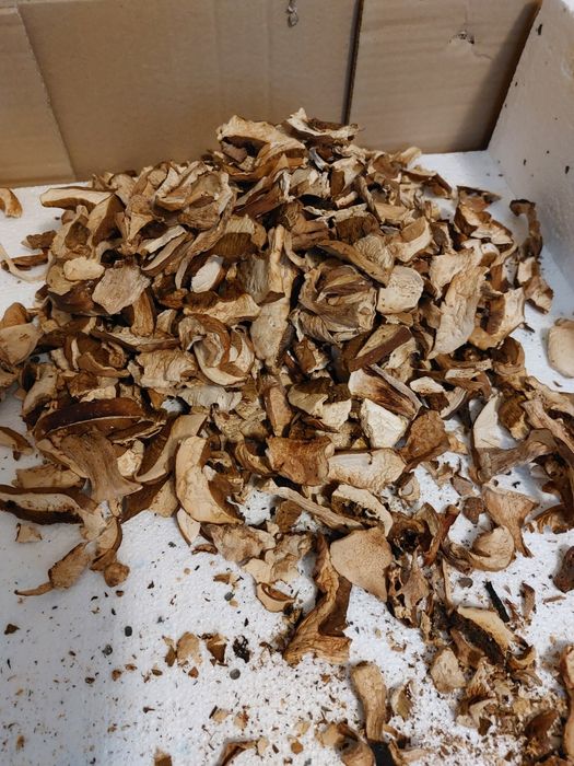 Grzyby, ZMIELONY !!! Suszony Borowik Szlachetny