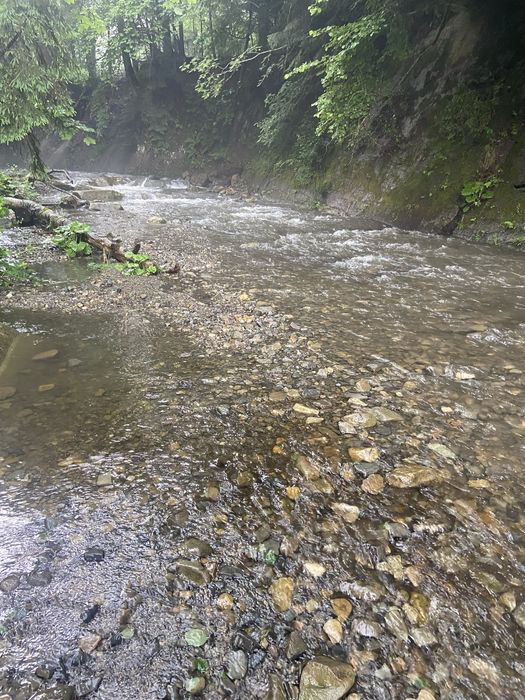 Здається в оренду будинок у Карпатах біля водоспаду в с. Татарів