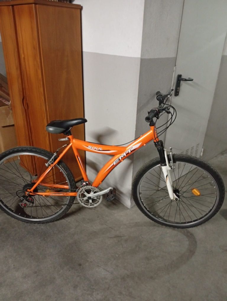 Duas bicicletas adulto