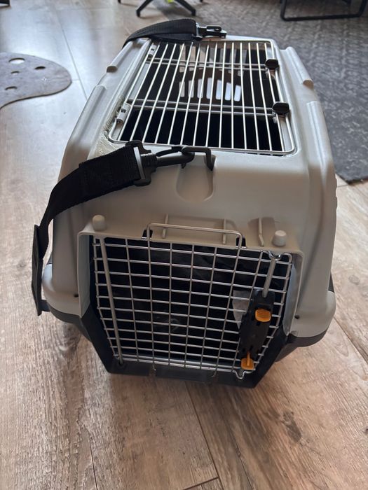 Transporter dla psa kota