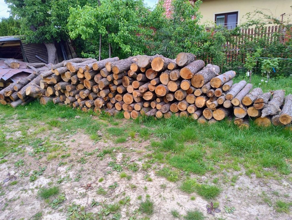 Drzewo metry, suche, opał, twarde, buk, dąb, opał, Dowóz gratis