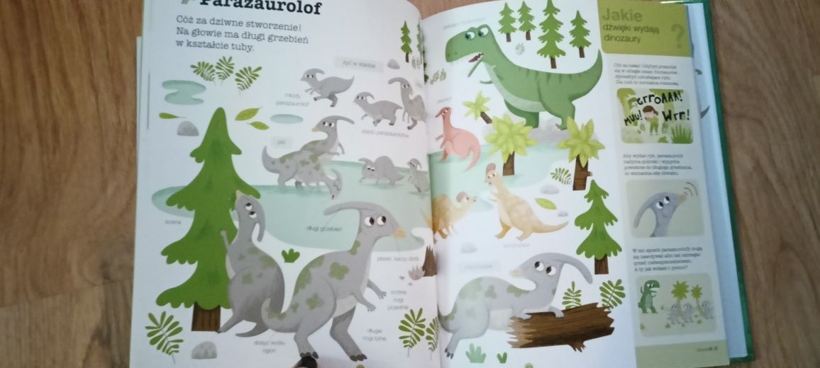 Encyklopedia o dinozaurach, książka o dinozaurach dla dzieci